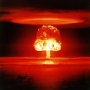 atompilz.jpg